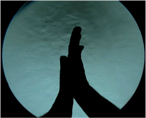 image001.png