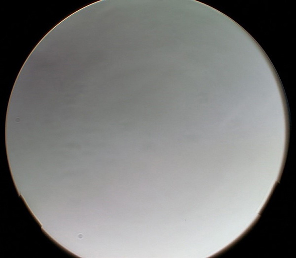image008.jpg