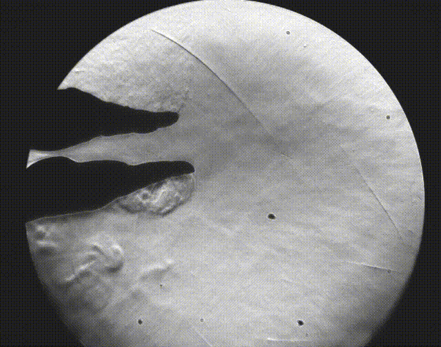 image001.png